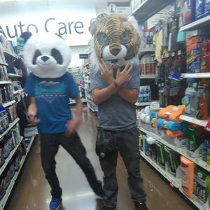 Meet your Posher, Steven